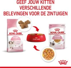 Royal Canin Kitten In Jelly - Kattenvoer - 1020 G 27 Royal Canin Kitten In Jelly - Kattenvoer - 1020 G -Merkloos Winkel 1200x1159 29