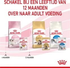 Royal Canin Kitten In Jelly - Kattenvoer - 1020 G 32 Royal Canin Kitten In Jelly - Kattenvoer - 1020 G -Merkloos Winkel 1200x1159 30