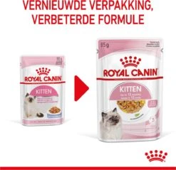Royal Canin Kitten In Jelly - Kattenvoer - 1020 G 34 Royal Canin Kitten In Jelly - Kattenvoer - 1020 G -Merkloos Winkel 1200x1159 32