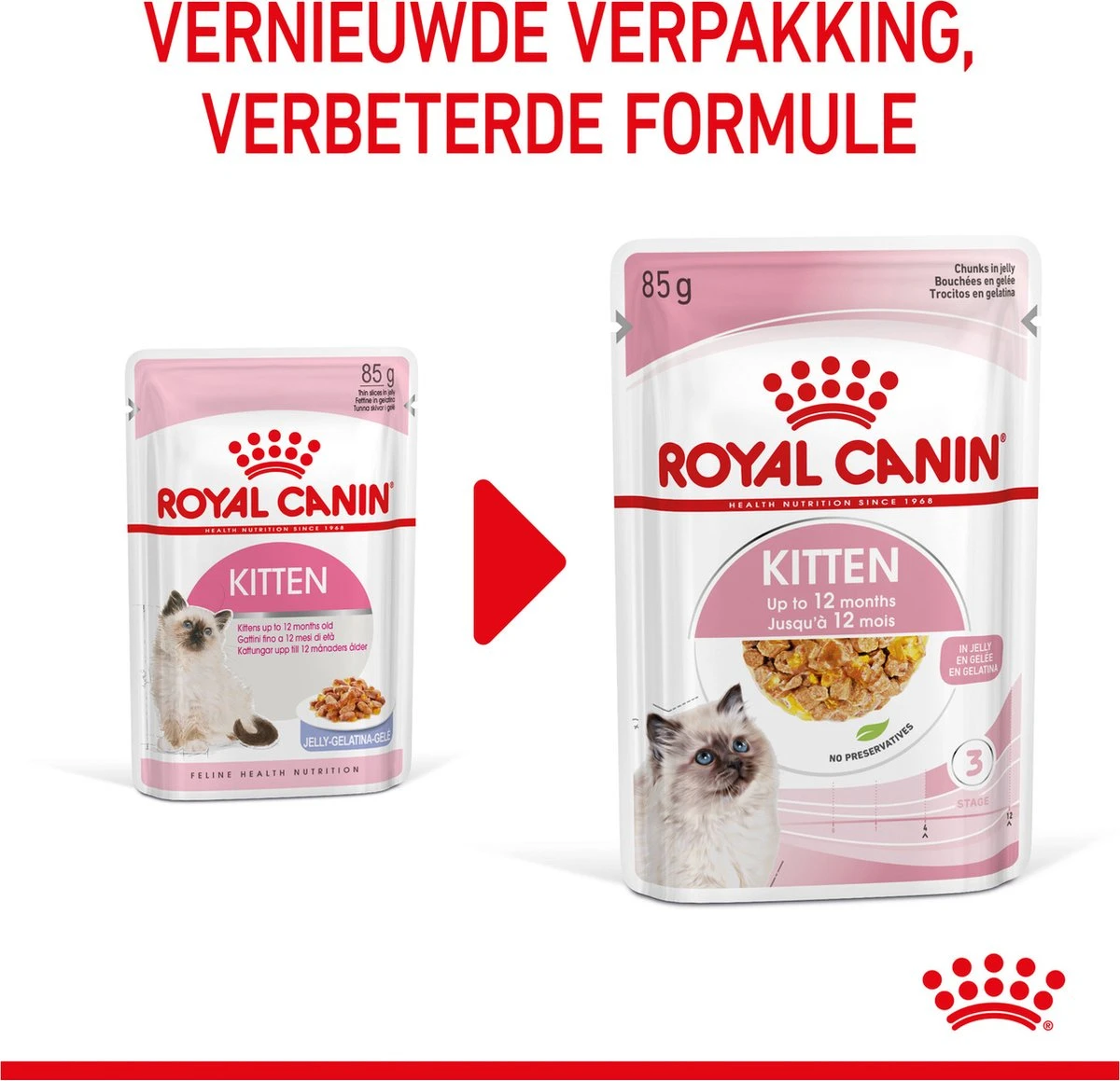Royal Canin Kitten In Jelly - Kattenvoer - 1020 G 15 Royal Canin Kitten In Jelly - Kattenvoer - 1020 G - Afbeelding 15