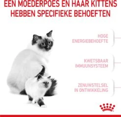 Royal Canin Mother & Babycat - Kattenvoer - 4 Kg 23 Royal Canin Mother & Babycat - Kattenvoer - 4 Kg -Merkloos Winkel 1200x1159 8