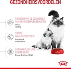 Royal Canin Mother & Babycat - Kattenvoer - 4 Kg 25 Royal Canin Mother & Babycat - Kattenvoer - 4 Kg -Merkloos Winkel 1200x1159 9
