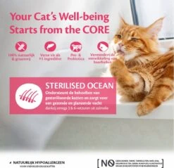 Wellness Core Grain Free Cat Sterilised - Zalm - Kattenvoer - 1.75 Kg -Merkloos Winkel 1200x1160 4