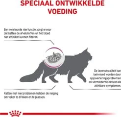 Royal Canin Renal - Kattenvoer - 4 Kg -Merkloos Winkel 1200x1162 1