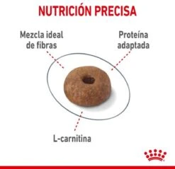 Royal Canin Light Weight Care - 1.5 Kg 19 Royal Canin Light Weight Care - 1.5 Kg -Merkloos Winkel 1200x1162 3