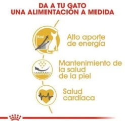 Royal Canin Sphynx Adult - Kattenvoer - 10 Kg 26 Royal Canin Sphynx Adult - Kattenvoer - 10 Kg -Merkloos Winkel 1200x1164 2