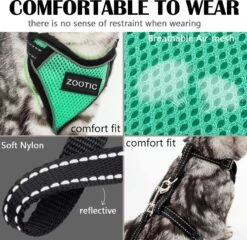 Kattentuigje Met Leiband Riem Kattenharnas Groen Maat L Kat & Kitten - Dieren Kattenriem - Cat Leash - Halsomvang 24 Tot 33cm - Borstomvang 36 Tot 41cm - Zootic® -Merkloos Winkel 1200x1164 8