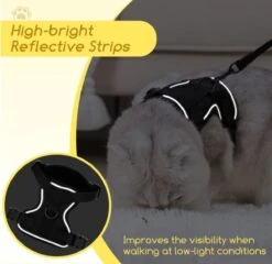 Nobleza Kattenharnas M Reflecterend Zwart Met Riem 9 Nobleza Kattenharnas M Reflecterend Zwart Met Riem -Merkloos Winkel 1200x1166 4