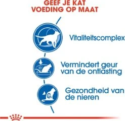 Royal Canin Indoor 7+ - Kattenvoer - 3,5 Kg -Merkloos Winkel 1200x1167 1