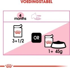 Royal Canin Kitten In Jelly - Kattenvoer - 1020 G 29 Royal Canin Kitten In Jelly - Kattenvoer - 1020 G -Merkloos Winkel 1200x1169 1