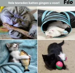 Filo Kattenspeelgoed Set 30 Stuks - Kattenspeeltje Kattentunnel - Kattenhengel - Kattenveertjes - Vis Met Kattenkruid - Kattenspeeltjes Intelligentie Kitten - Interactief Speelgoed Katten - Poezen Speeltjes -Merkloos Winkel 1200x1170 7