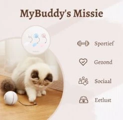 MyBuddy - Interactieve Zelf Rollende Bal - Kattenspeeltjes - Kattenspeelgoed - Bal Voor Katten - LED Lights - Speelgoed - USB - Roze -Merkloos Winkel 1200x1171 4
