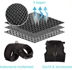 Kattentuigje Met Leiband Riem Kattenharnas Paars Maat M Kat & Kitten - Dieren Kattenriem - Cat Leash - Halsomvang 20 Tot 26cm - Borstomvang 30 Tot 34cm - Zootic® -Merkloos Winkel 1200x1171 9
