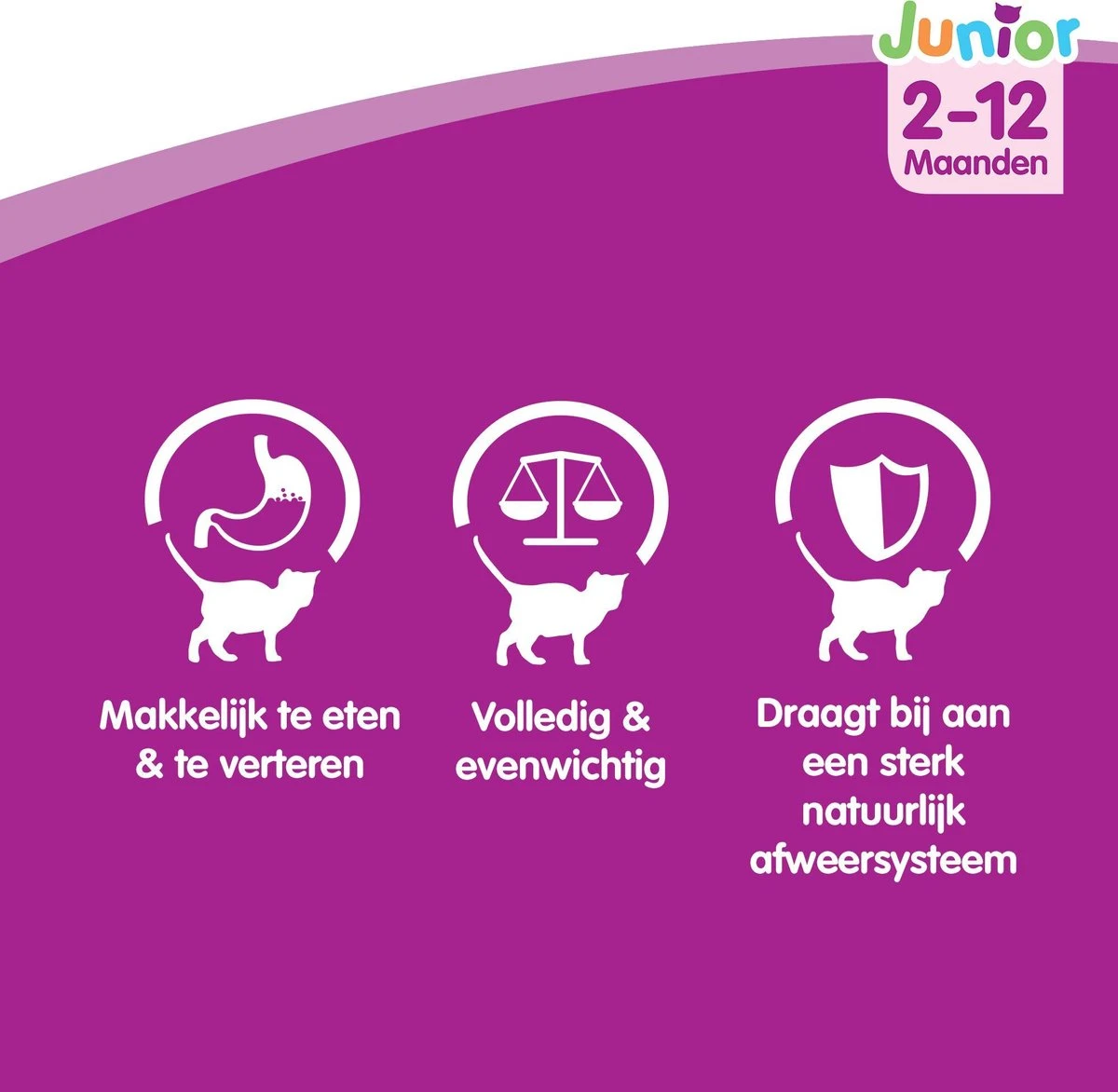 Whiskas Junior Katten Natvoer - Classic Selectie In Saus - 48 X 100g 3 Whiskas Junior Katten Natvoer - Classic Selectie In Saus - 48 X 100g - Afbeelding 3