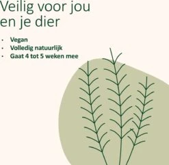 Catuals Kattenbakvulling Geurverdrijver - Neutraliseert Urinegeur Van Katten - Baby Care - 1kg -Merkloos Winkel 1200x1172 5