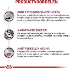 Royal Canin Kat Renal2 Kg -Merkloos Winkel 1200x1174 5
