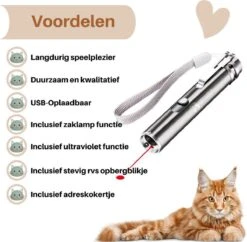 Laserpen - USB - Kattenspeeltjes - Zaklamp - Kat - Laser - Kattenspeelgoed - RVS Opbergblikje -Merkloos Winkel 1200x1175 7