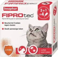 Beaphar Fiprotec Kat - Vlooienbestrijding - >1 Kg - 4 Pipetten 13 Beaphar Fiprotec Kat - Vlooienbestrijding - >1 Kg - 4 Pipetten -Merkloos Winkel 1200x1177