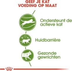 Royal Canin Outdoor - Kattenvoer - 4 Kg -Merkloos Winkel 1200x1177 3