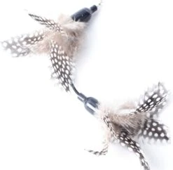 FUZLY - Kattenspeelgoed - Hengel Met Veer - Hengel Met 5 Opzetstukjes - Kattenspeeltjes - Bewegend Kattenspeelgoed- Kattenspeeltjes Intelligentie - Kattenhengel - Kattenspeeltje Interactief -Merkloos Winkel 1200x1177 7