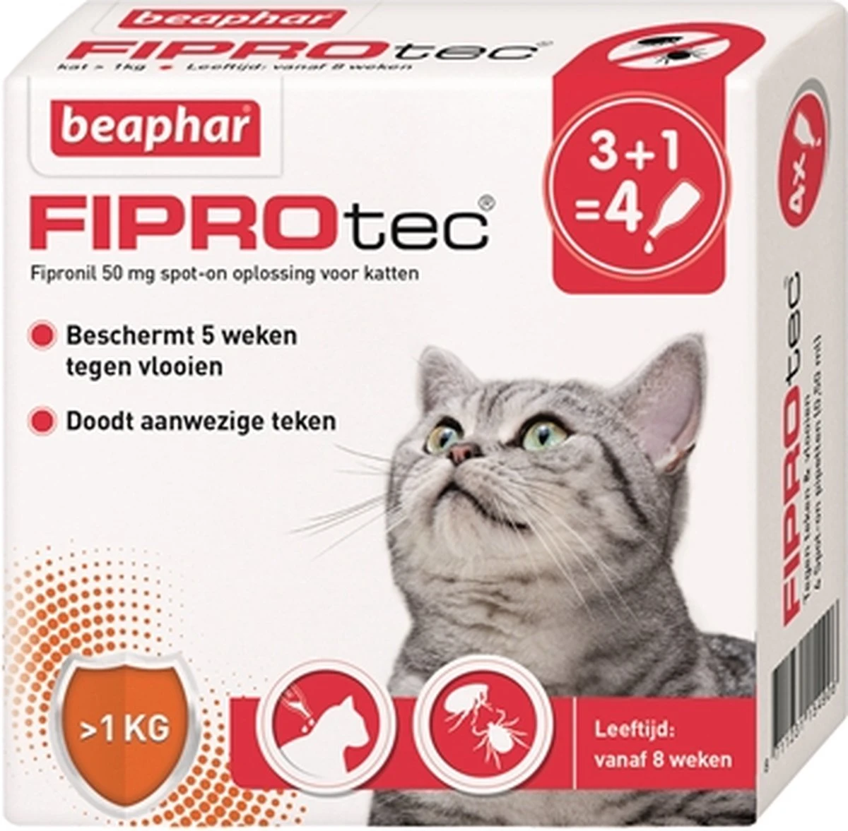Beaphar Fiprotec Kat - Vlooienbestrijding - >1 Kg - 4 Pipetten 6 Beaphar Fiprotec Kat - Vlooienbestrijding - >1 Kg - 4 Pipetten - Afbeelding 6