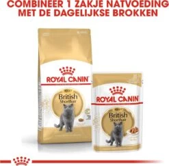 Royal Canin British Shorthair Adult - Kattenvoer - 2 Kg 21 Royal Canin British Shorthair Adult - Kattenvoer - 2 Kg -Merkloos Winkel 1200x1180 10