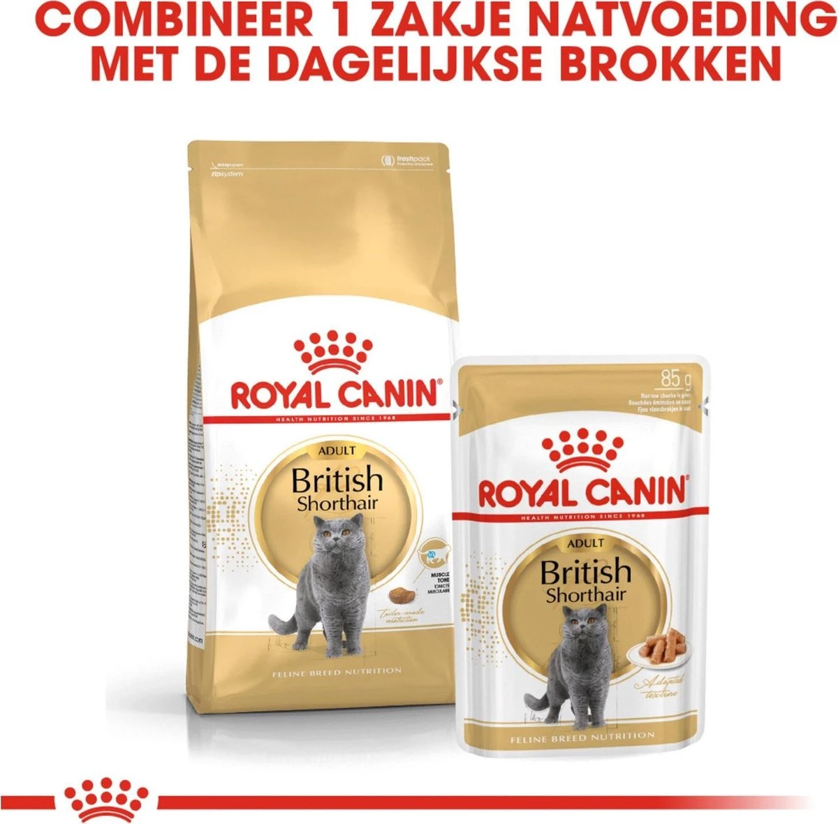 Royal Canin British Shorthair Adult - Kattenvoer - 2 Kg 8 Royal Canin British Shorthair Adult - Kattenvoer - 2 Kg - Afbeelding 8