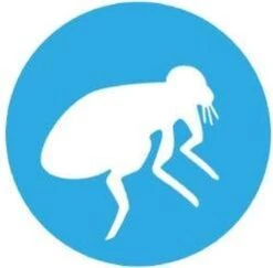 Bayer Bolfo Gold 40 Anti Vlooienmiddel - Kat - 0 Tot 4 Kg - 4 Pipetten -Merkloos Winkel 1200x1180 5