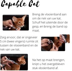 Capable Cat Vlooienband Kat | Vlooien | Luizen | Teken | Mijten | 8 Maanden Bescherming | Katten -Merkloos Winkel 1200x1186