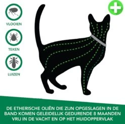 Teken- En Vlooienband Voor Katten PLUS - Natuurlijk Middel Tegen Vlooien En Teken - 100% Natuurlijk - 38,5 CM - Tot 8 Maand Werkzaam - Biologisch 8 Teken- En Vlooienband Voor Katten PLUS - Natuurlijk Middel Tegen Vlooien En Teken - 100% Natuurlijk - 38,5 CM - Tot 8 Maand Werkzaam - Biologisch -Merkloos Winkel 1200x1188