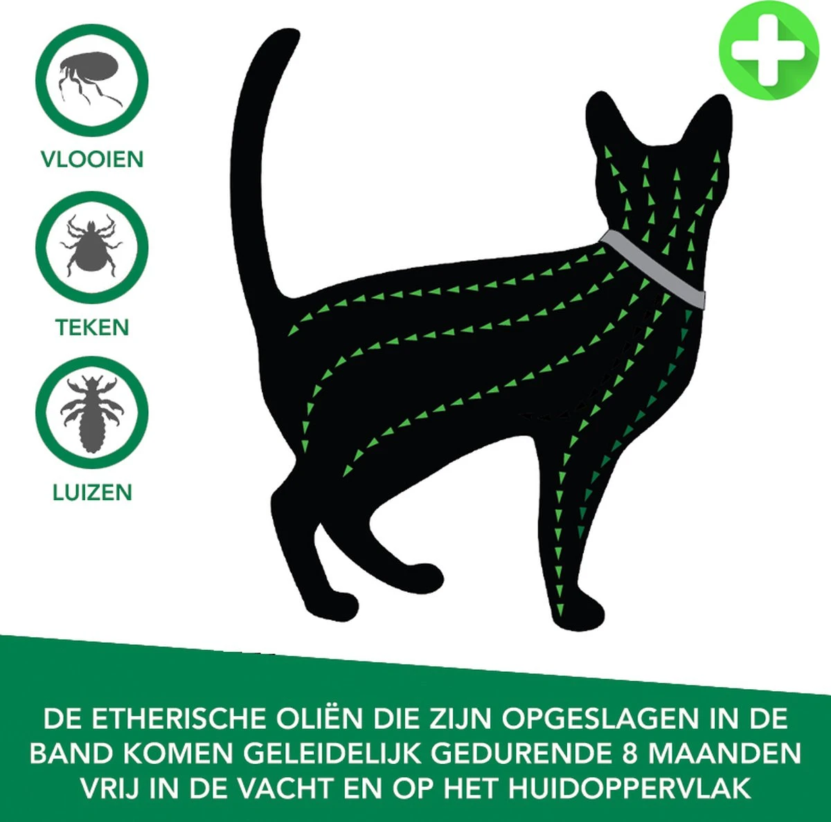 Teken- En Vlooienband Voor Katten PLUS - Natuurlijk Middel Tegen Vlooien En Teken - 100% Natuurlijk - 38,5 CM - Tot 8 Maand Werkzaam - Biologisch 4 Teken- En Vlooienband Voor Katten PLUS - Natuurlijk Middel Tegen Vlooien En Teken - 100% Natuurlijk - 38,5 CM - Tot 8 Maand Werkzaam - Biologisch - Afbeelding 4