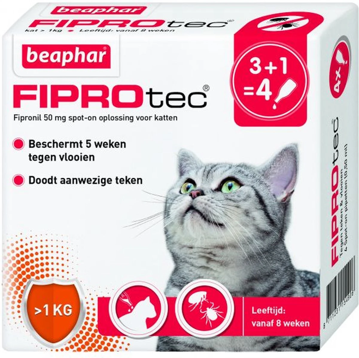 Beaphar Fiprotec Kat - Vlooienbestrijding - >1 Kg - 4 Pipetten 8 Beaphar Fiprotec Kat - Vlooienbestrijding - >1 Kg - 4 Pipetten - Afbeelding 8
