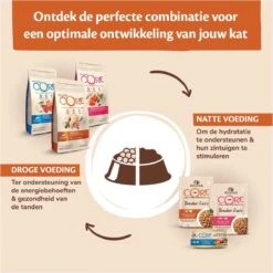 Wellness Core Grain Free Cat Original Kalkoen & Kip - Kattenvoer - 1.75 Kg -Merkloos Winkel 1200x1199 2