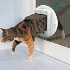 Cat Mate Kattendeur Microchip 360 Wit -Merkloos Winkel 1200x1200 1027