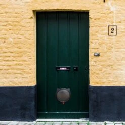 Cellavi XL Kattenluik Zwart Met Tunnel - Hondenluik - 4 Vergrendelingsstanden - 30,5 X 27,5 X 7,5 Cm -Merkloos Winkel 1200x1200 1070