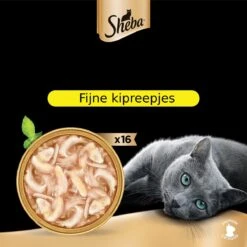 Sheba Filets - Katten Natvoer In Saus - Kipfilet Stukjes - 16 X 60 Gr 5 Sheba Filets - Katten Natvoer In Saus - Kipfilet Stukjes - 16 X 60 Gr -Merkloos Winkel 1200x1200 115