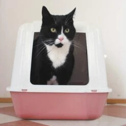 HG Tegen Kattenbakgeur - 500ml - Ongevaarlijk Voor Dier En Mens - Geurloos -Merkloos Winkel 1200x1200 1165