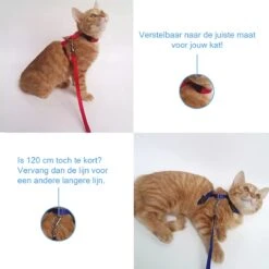 Kattentuigje Met Looplijn Kattenharnas Kittentuigje Kattenriem Met Looplijn Kat Kitten Tuigje Verstelbaar - Groen -Merkloos Winkel 1200x1200 1171