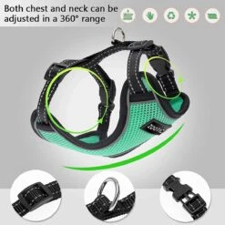 Kattentuigje Met Leiband Riem Kattenharnas Groen Maat L Kat & Kitten - Dieren Kattenriem - Cat Leash - Halsomvang 24 Tot 33cm - Borstomvang 36 Tot 41cm - Zootic® -Merkloos Winkel 1200x1200 1177