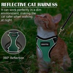 Kattentuigje Met Leiband Riem Kattenharnas Groen Maat L Kat & Kitten - Dieren Kattenriem - Cat Leash - Halsomvang 24 Tot 33cm - Borstomvang 36 Tot 41cm - Zootic® -Merkloos Winkel 1200x1200 1178