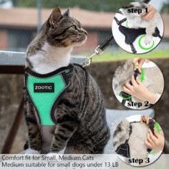 Kattentuigje Met Leiband Riem Kattenharnas Groen Maat L Kat & Kitten - Dieren Kattenriem - Cat Leash - Halsomvang 24 Tot 33cm - Borstomvang 36 Tot 41cm - Zootic® -Merkloos Winkel 1200x1200 1179