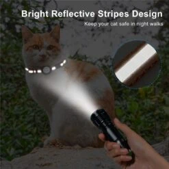 BJØRK™ Kattenhalsband Airtag - Reflecterend - Oranje - Verstelbaar - 20 Tot 30 Cm - Tracker- GPS - Geschikt Voor Apple AirTag - Kattenriem - Katten Accessoire - Halsband Kat Airtag -Merkloos Winkel 1200x1200 1189