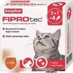 Beaphar Fiprotec Kat - Vlooienbestrijding - >1 Kg - 4 Pipetten 14 Beaphar Fiprotec Kat - Vlooienbestrijding - >1 Kg - 4 Pipetten -Merkloos Winkel 1200x1200 12