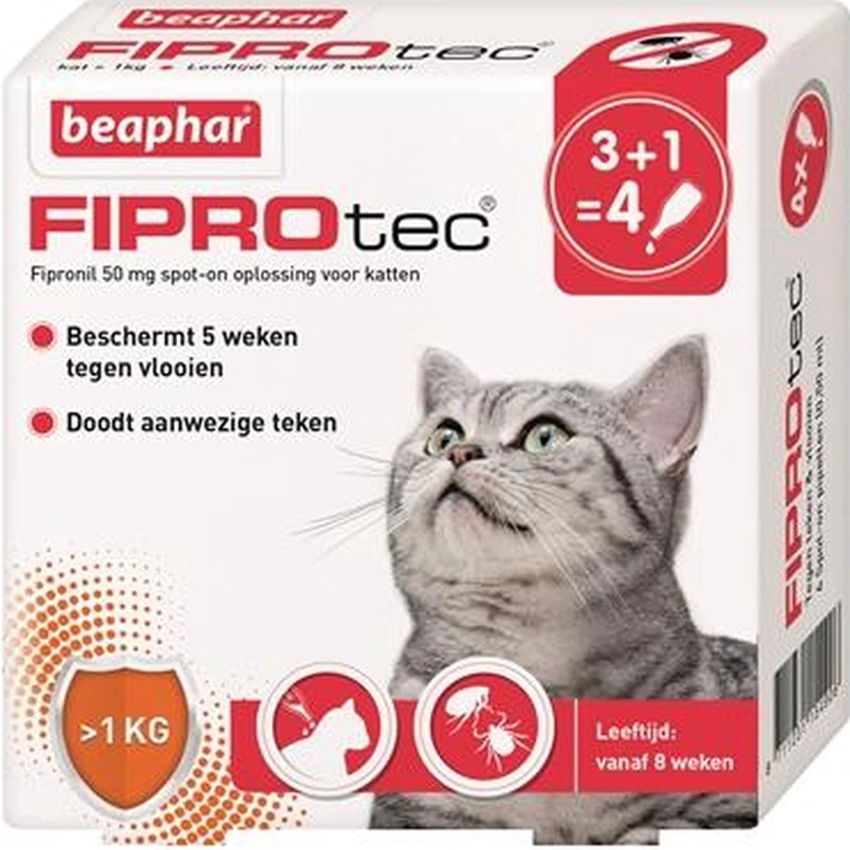 Beaphar Fiprotec Kat - Vlooienbestrijding - >1 Kg - 4 Pipetten 7 Beaphar Fiprotec Kat - Vlooienbestrijding - >1 Kg - 4 Pipetten - Afbeelding 7