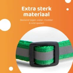 ACE Pets Reflecterende Kattenhalsband Met Veiligheidssluiting – Halsband Kat & Kitten - Met Adreskoker - Kittenhalsband & Kattenbandje Met Belletje - Zwart 17 ACE Pets Reflecterende Kattenhalsband Met Veiligheidssluiting – Halsband Kat & Kitten - Met Adreskoker - Kittenhalsband & Kattenbandje Met Belletje - Zwart -Merkloos Winkel 1200x1200 1201