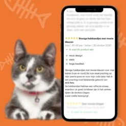 ACE Pets Reflecterende Kattenhalsband Met Veiligheidssluiting – Halsband Kat & Kitten - Met Adreskoker - Kittenhalsband & Kattenbandje Met Belletje - Geschikt Voor Apple Airtag - Zwart 15 ACE Pets Reflecterende Kattenhalsband Met Veiligheidssluiting – Halsband Kat & Kitten - Met Adreskoker - Kittenhalsband & Kattenbandje Met Belletje - Geschikt Voor Apple Airtag - Zwart -Merkloos Winkel 1200x1200 1221