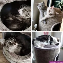 Petrebels Dome 80 Krabton Voor Katten -Cappuccino - Ø 45 X 80 Cm - Stabiel 12 Petrebels Dome 80 Krabton Voor Katten -Cappuccino - Ø 45 X 80 Cm - Stabiel -Merkloos Winkel 1200x1200 1236