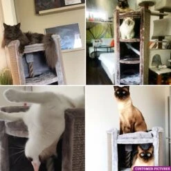 Petrebels Superdome 120 Krabton Voor Katten - Cappuccino - 49 X 49 X 120 Cm 16 Petrebels Superdome 120 Krabton Voor Katten - Cappuccino - 49 X 49 X 120 Cm -Merkloos Winkel 1200x1200 1239