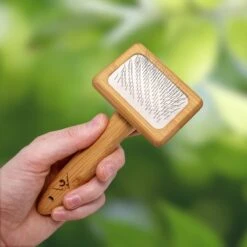 Pfotenolymp® Zachte Borstel Voor Katten - Kattenborstel / Kattenkam Van Bamboe - Bontborstel / Vachtborstel / Kattenhaarborstel - Bontkam Voor Vachtverzorging -Merkloos Winkel 1200x1200 1253