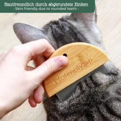 Pfotenolymp® Zachte Borstel & Vlooienkam Voor Katten Set - Kattenborstel I Kattenkam - Luizenkam I Netenkam Voor Katten - Tegen Luizen & Vlooien - Kattenhaarborstel -Merkloos Winkel 1200x1200 1264